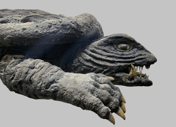 『宇宙怪獣ガメラ』の撮影に使用された”飛びガメラ”