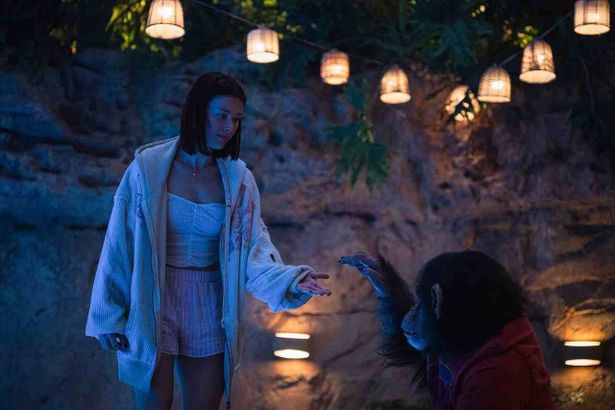 【写真を見る】大学生ルーシーが幼い頃から暮らしてきたチンパンジーのベンに再会！