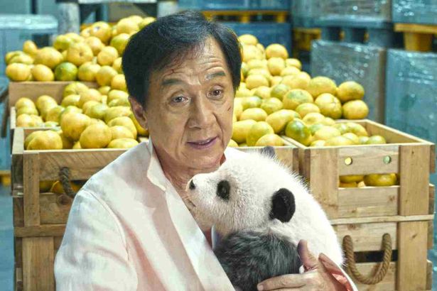 『パンダプラン』は1月23日(金)より公開