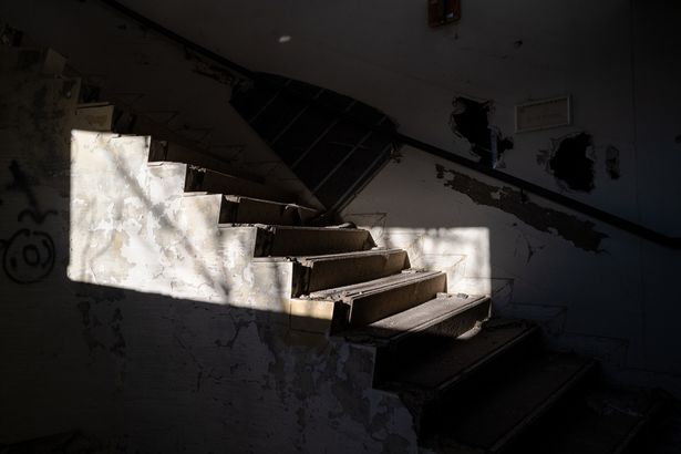 光に照らされ、なんともいえない雰囲気を漂わせている