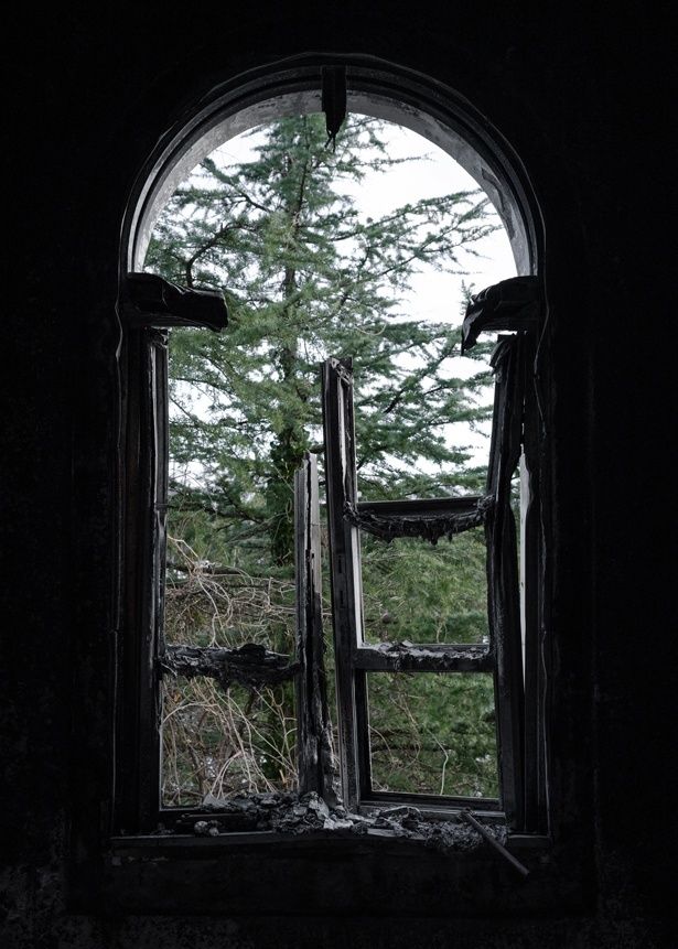 廊下の窓から外を見ると森の木々が風に揺れている