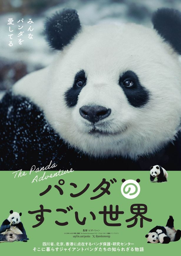 『パンダのすごい世界』は公開中！