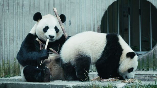 お母さんが子どものごはんを奪うことも！