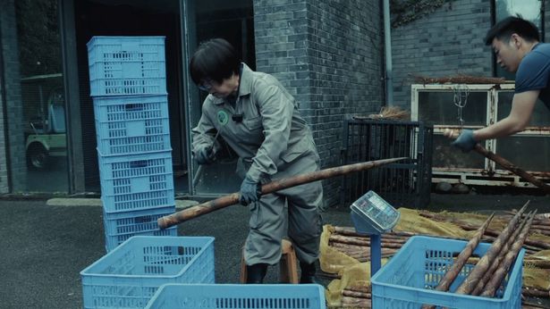 高齢のパンダのために食事を準備する飼育員たち