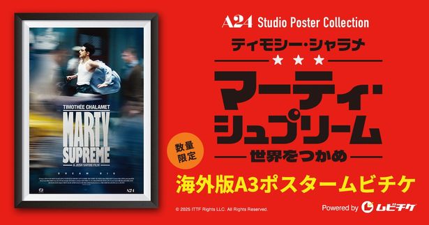 【写真を見る】A3サイズ海外版ポスターがついたムビチケ前売券(カード)