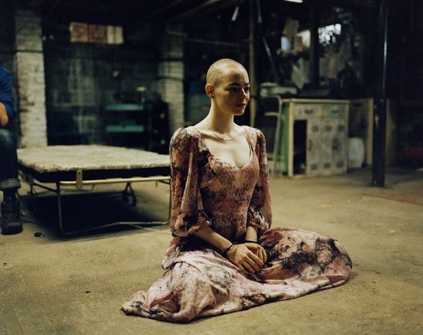 【写真を見る】丸坊主で圧倒的存在感！今回も体を張った演技を披露しているエマ・ストーン