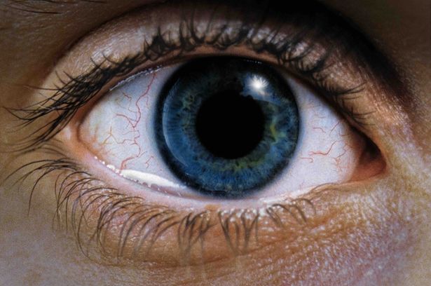 ドラッグが血液と混合し、瞳孔が収縮するといった肉体への影響も表現