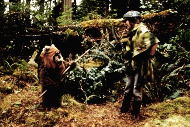 イウォークたちが暮らすエンドアとなっている(『スター・ウォーズ エピソード6/ジェダイの帰還』)