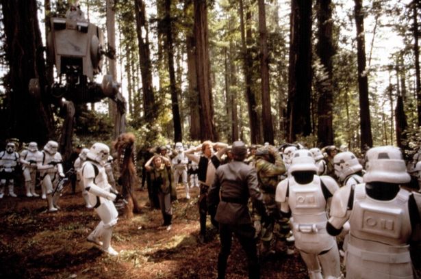 セコイアの木々が生い茂る独特の風景は印象的だ(『スター・ウォーズ エピソード6/ジェダイの帰還』)