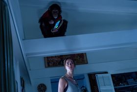 絶対勝てない…人間の想像を超えるチンパンジーの身体能力