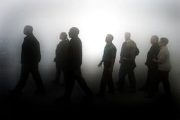 スティーヴン・キング原作映画の名手が「霧」の再映画化に挑む！