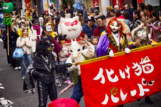 【写真を見る】歩行者天国の名所・神楽坂で大規模ロケ！大迫力の「化け猫パレード」の撮影中の様子