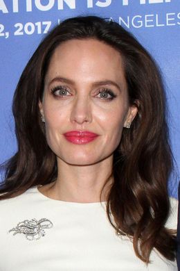 教育方法としてホーム・スクールを選択したというアンジェリーナ・ジョリー