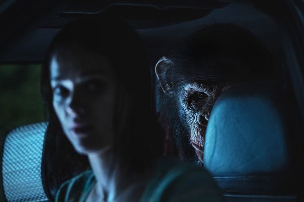 狂犬病×チンパンジー×密室！『おさるのベン』監督にインタビュー！