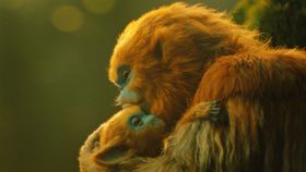 オチ親子の親子をとらえた場面写真