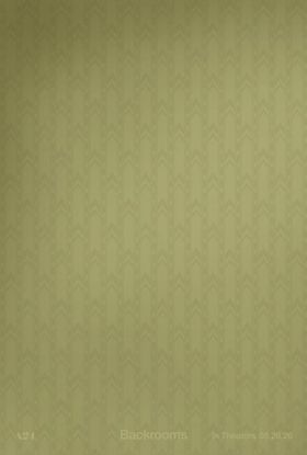 北米で5月29日から公開することが決定した『Backrooms』