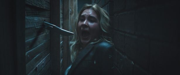 2022年に再始動してから3作目、通算では7作目となる今作