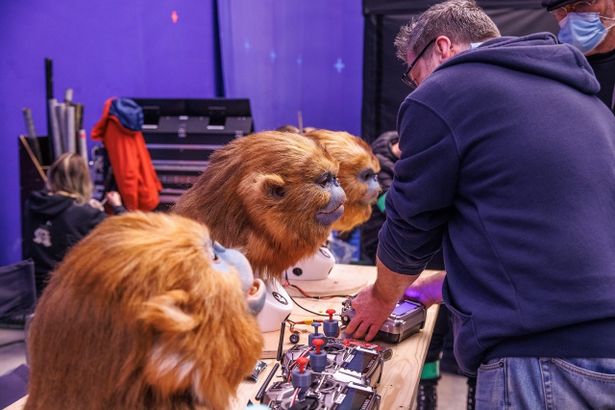 『ジュラシック・ワールド』(15)を手がけたクリエイターがアニマトロニクスとクリーチャーのデザインを担当