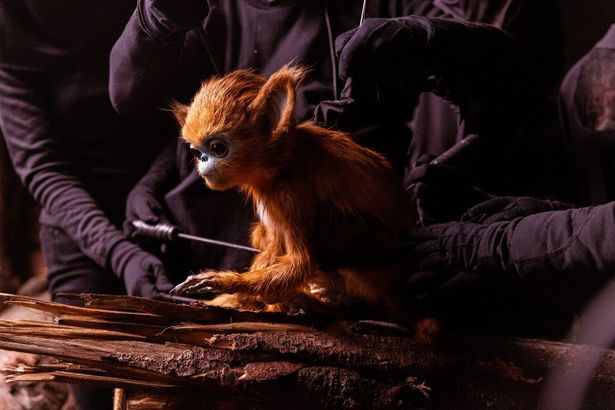 人の手で作られ、人の呼吸によって生命力を宿されたオチ