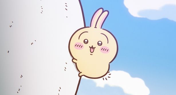 テンションが上がっているうさぎ