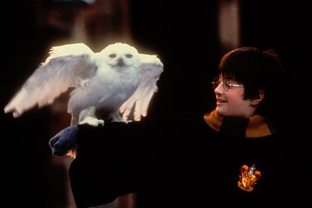 年末に公開された『ハリー・ポッターと賢者の石』は世界的な大ブームに！