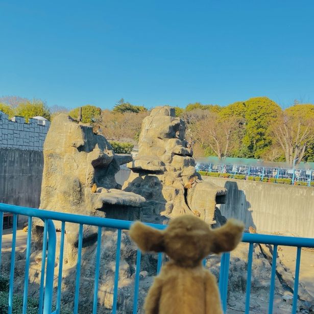 市川市動物園にいるニホンザルのパンチくんからパワーをもらうオチ
