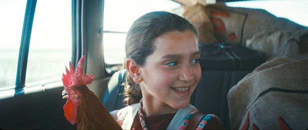 学校でフセイン大統領の誕生日ケーキを準備する係に選ばれた9歳のラミア