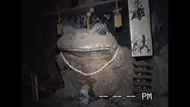 ガマガエルを祀るテーマパークで起こる恐怖とは？