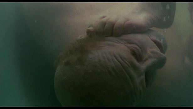  『悪夢の系譜【4Kデジタル修復版】』は4月17日(金)より公開