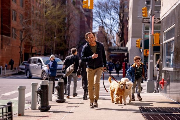 アレックスを演じるのは、エミー賞4度ノミネートの名優ウィル・アーネット