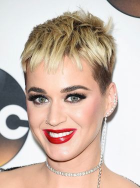 世界的シンガー、ケイティ・ペリー