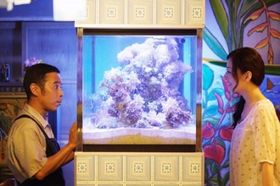 いずれはこんな大きなサンゴ礁に育つ？