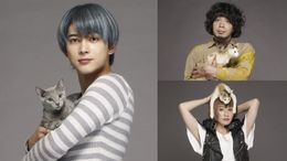 「猫は抱くもの」追加キャストの吉沢亮(左)、峯田和伸(右上)、コムアイ(右下)