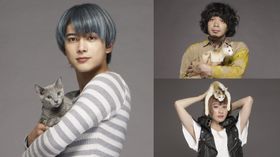 「猫は抱くもの」追加キャストの吉沢亮(左)、峯田和伸(右上)、コムアイ(右下)