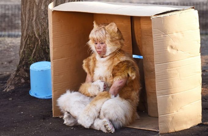 トラさん～僕が猫になったワケ～：映画作品情報・あらすじ・評価