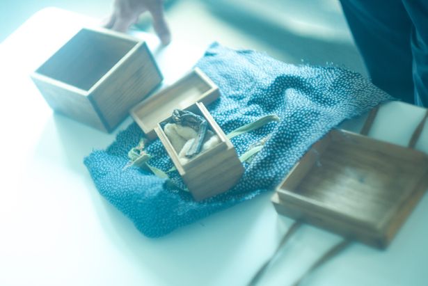【写真を見る】これが本物の呪物だ！「平家物語」にも登場する鵺(ぬえ)の足のミイラ
