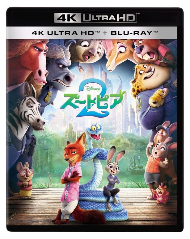 『ズートピア２』2026年5月20日(水)4K UHD+ブルーレイセット　発売元：ウォルト・ディズニー・ジャパン　発売・販売元：ハピネット・メディアマーケティング