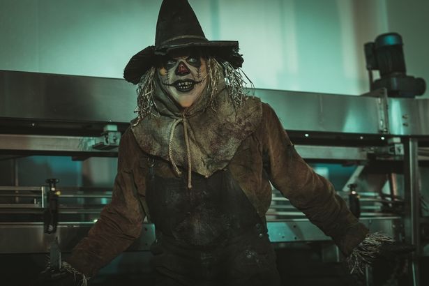 【写真を見る】かかし姿の連続殺人鬼を捉えた場面写真も一挙解禁！