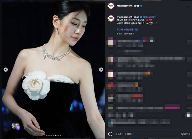 輝くような美しさのペ・スジ