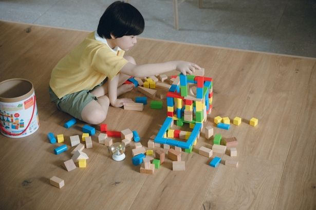 不慮の事故で亡くなった息子の姿をしたヒューマノイドが家に来たことから始まる夫婦の再生を描く(『箱の中の羊』)