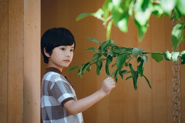 桒木里夢は200人のなかからオーディションで選ばれた(『箱の中の羊』)