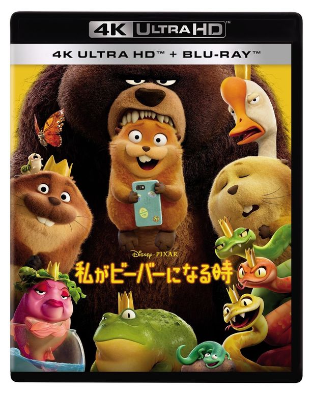【写真を見る】『私がビーバーになる時』4K UHD+ブルーレイ セットは7月22日(水)に発売される