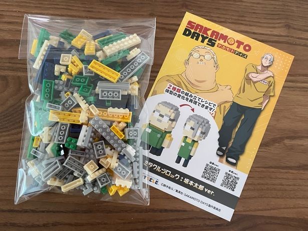 中身はブロックと1枚の紙のみとシンプル