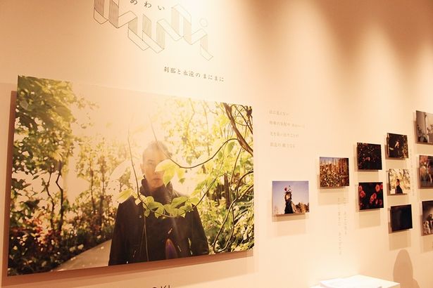 フォトブック収録の写真が飾られている