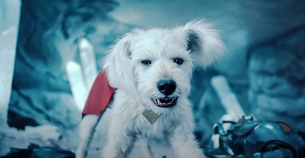 愛犬オズに合わせて、クリプトも雑種になっている(『スーパーマン』)