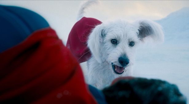 やんちゃないたずらっ子だが、いざという時に頼りになるスーパードッグ(『スーパーマン』)
