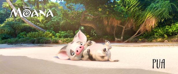 モアナに忠実なペットのこぶた、プア