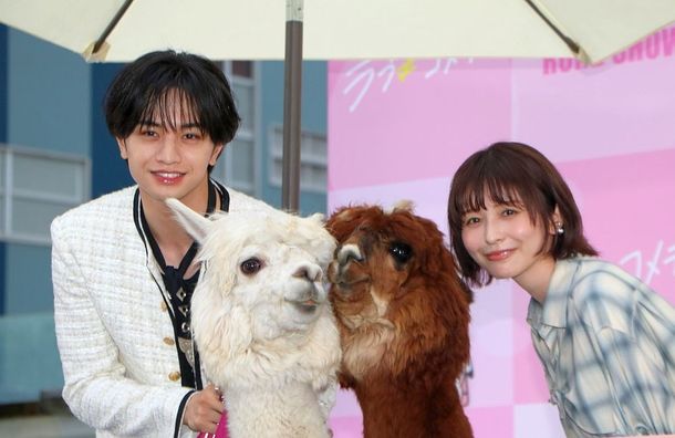 中島健人と長濱ねる、“本物のアルパカ”とフォトセッション！