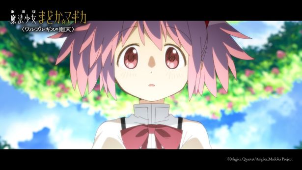 魔法少女たちを救うため「円環の理」と呼ばれる超常的概念となったまどか