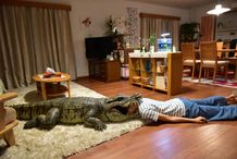 “死んだふり”に込められた真実とは…!?『妻ふり』の予告編が完成